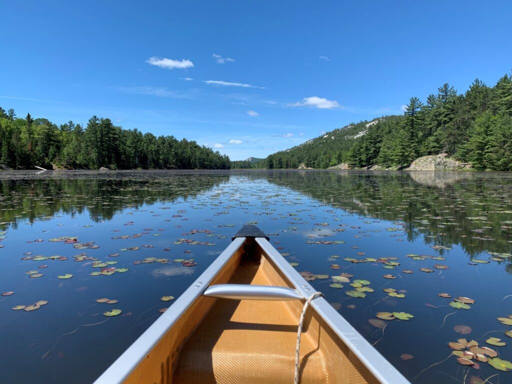 Canoe on lake lined with green trees and leaves in the water